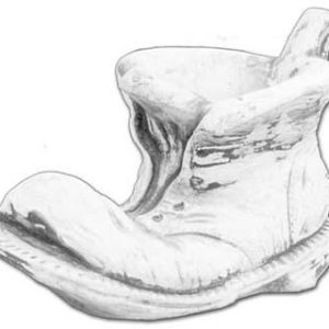bakancs virágtartó 18cm
