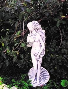 Vénusz születése 58cm