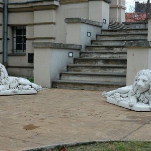 oroszlán fekvő balra néz