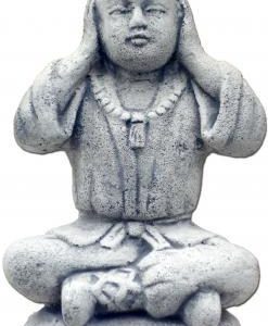 Buddhista kisfiú sorozat - nem hall