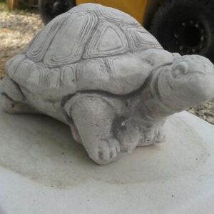 Teknős 11cm