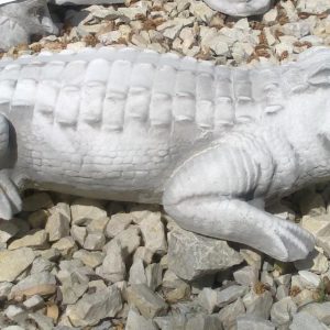 Aligátor