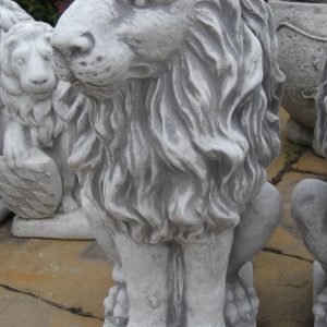 Oroszlán jobbra néz 53cm