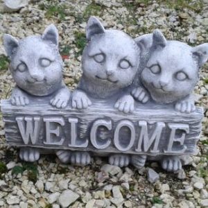 Welcome cicák