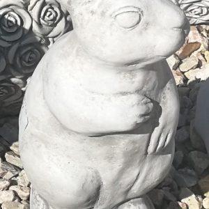 nyúl 31cm