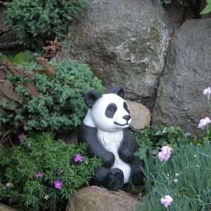 panda