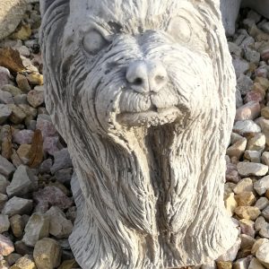 yorki álló 25 cm