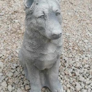 Németjuhász 37cm
