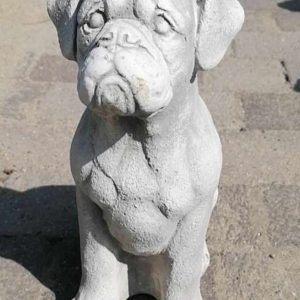 Boxer 36cm