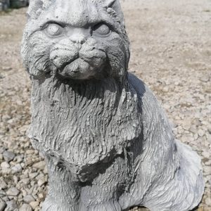 Perzsa macska 35cm