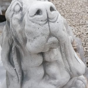 Basset hound (Columbo kutyája)